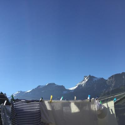 Img 7144